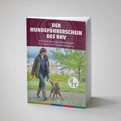 Der Hundeführerschein des BHV: Den Hund im Alltag sicher führen